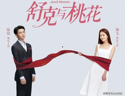 舒克与桃花,一段温馨的航空冒险之旅