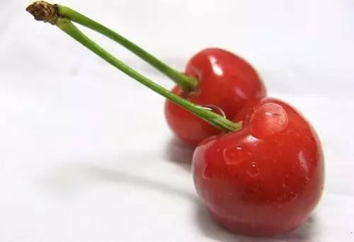 樱桃的滋味,探寻自然之美的滋味之旅