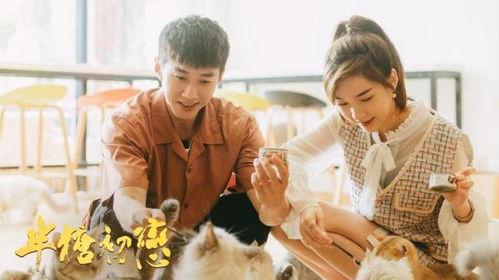 半糖初恋,甜蜜回忆中的青春旋律