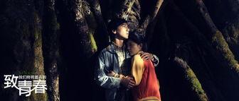 致青春,青春岁月里的梦想与奋斗